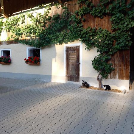 Landhof Ella - Ferienhaus Vor Den Toren Salzburgs Petting Екстериор снимка