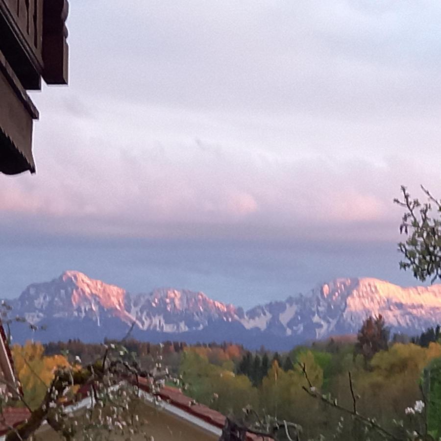 Landhof Ella - Ferienhaus Vor Den Toren Salzburgs Petting Екстериор снимка
