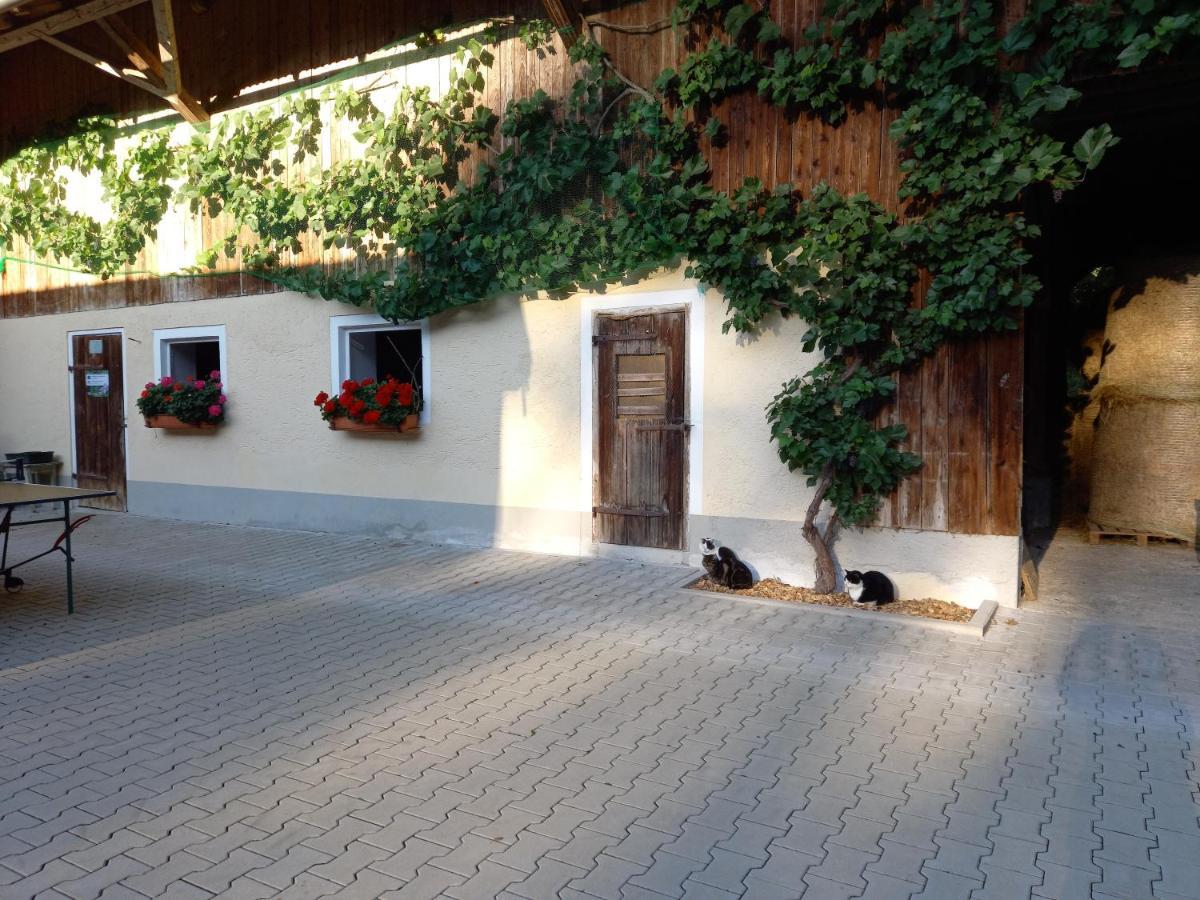 Landhof Ella - Ferienhaus Vor Den Toren Salzburgs Petting Екстериор снимка
