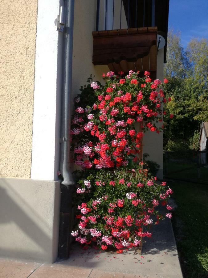 Landhof Ella - Ferienhaus Vor Den Toren Salzburgs Petting Екстериор снимка
