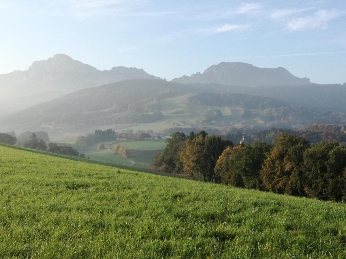 Landhof Ella - Ferienhaus Vor Den Toren Salzburgs Petting Екстериор снимка